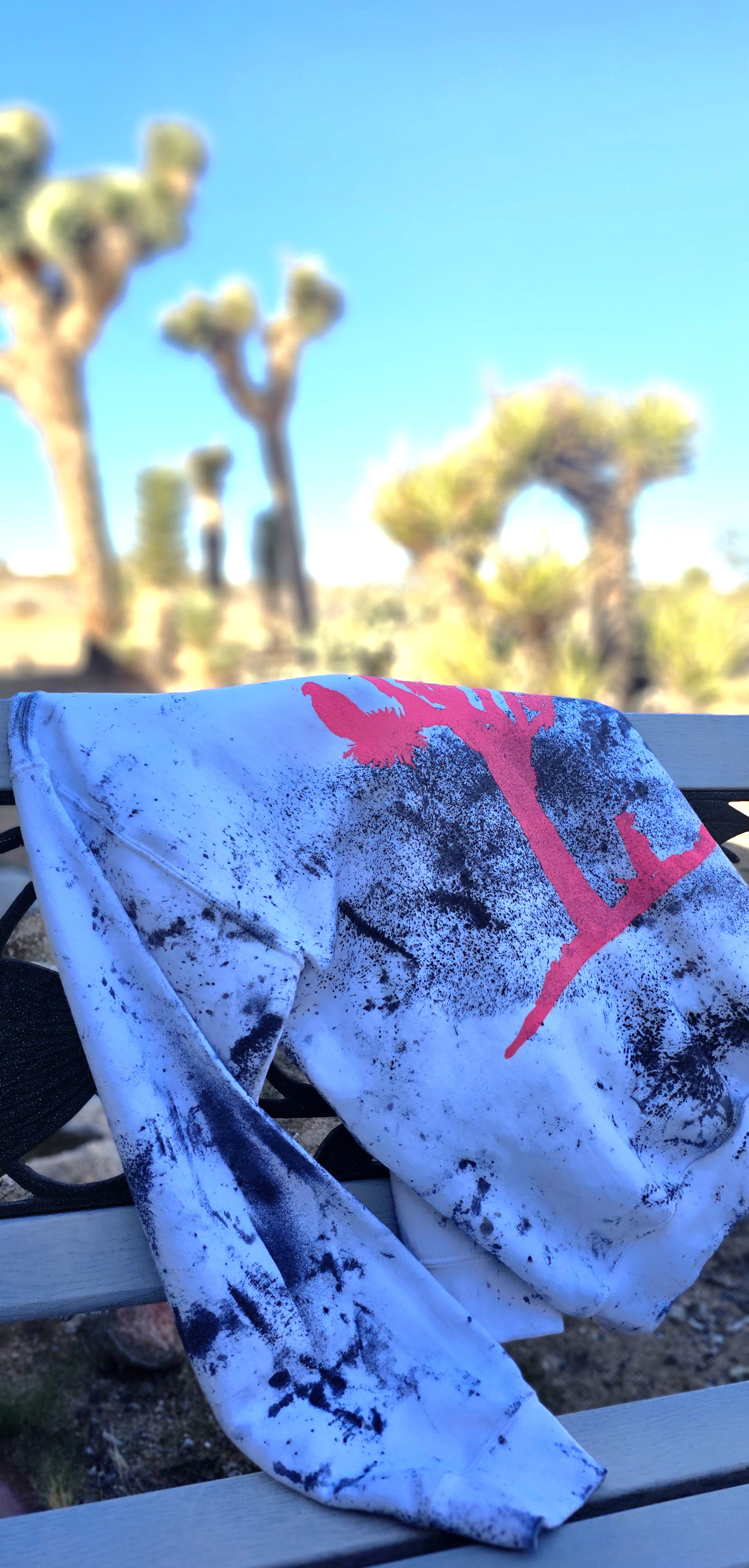 JOSHUA TREE COZY SWEATSHIRT MEDIUM extra