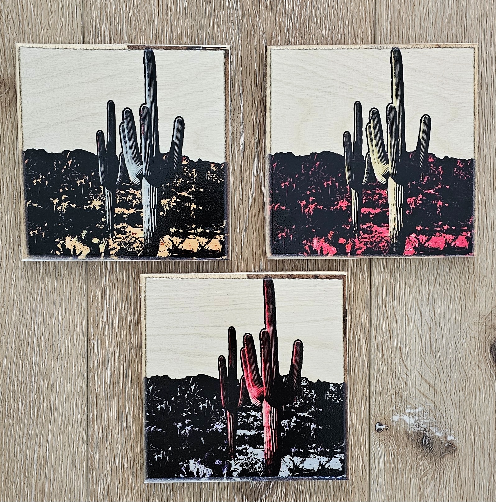 PoP ArT - triptych cacti saguaro set of three