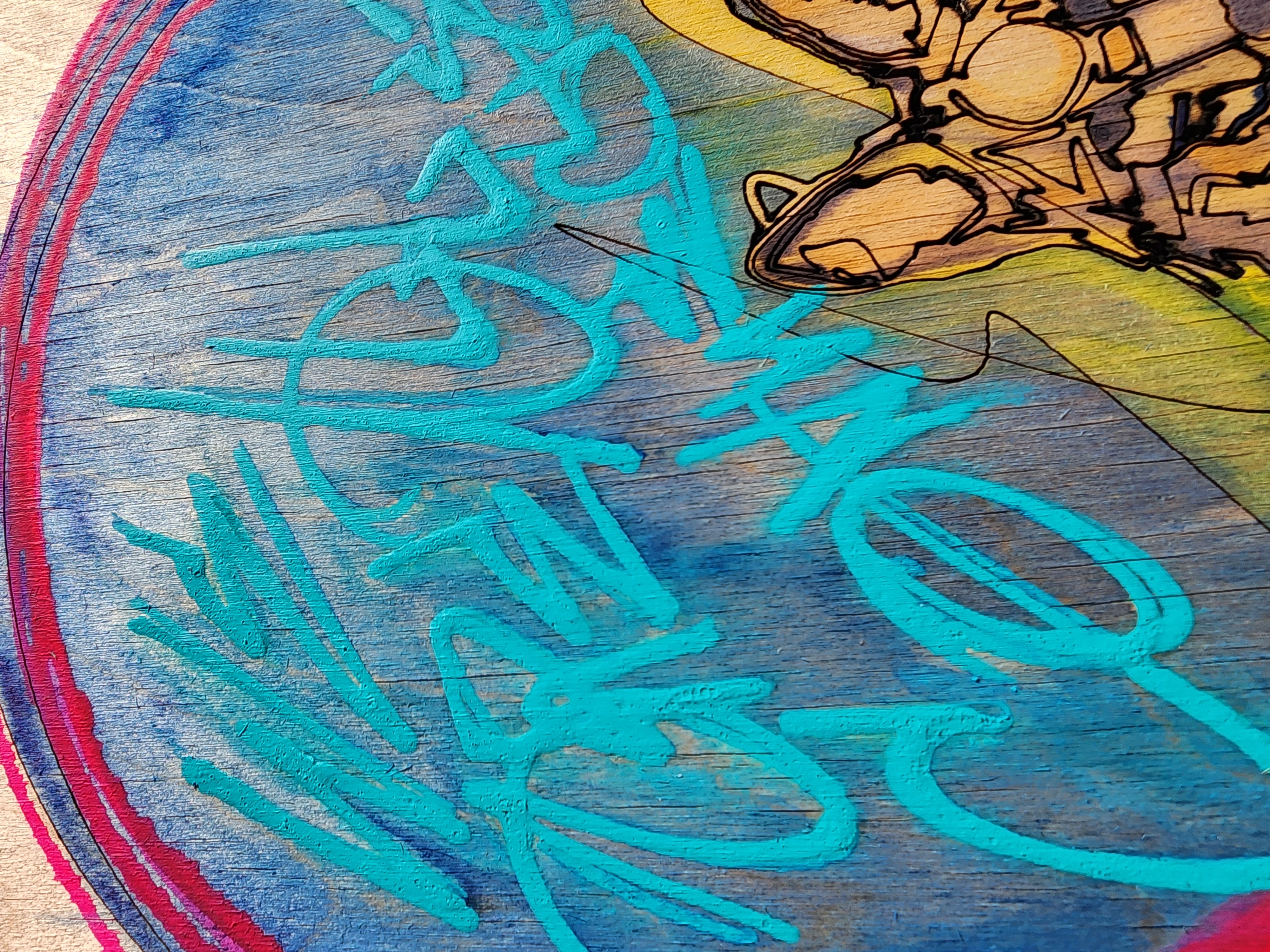 Coyote Electric nights  extra