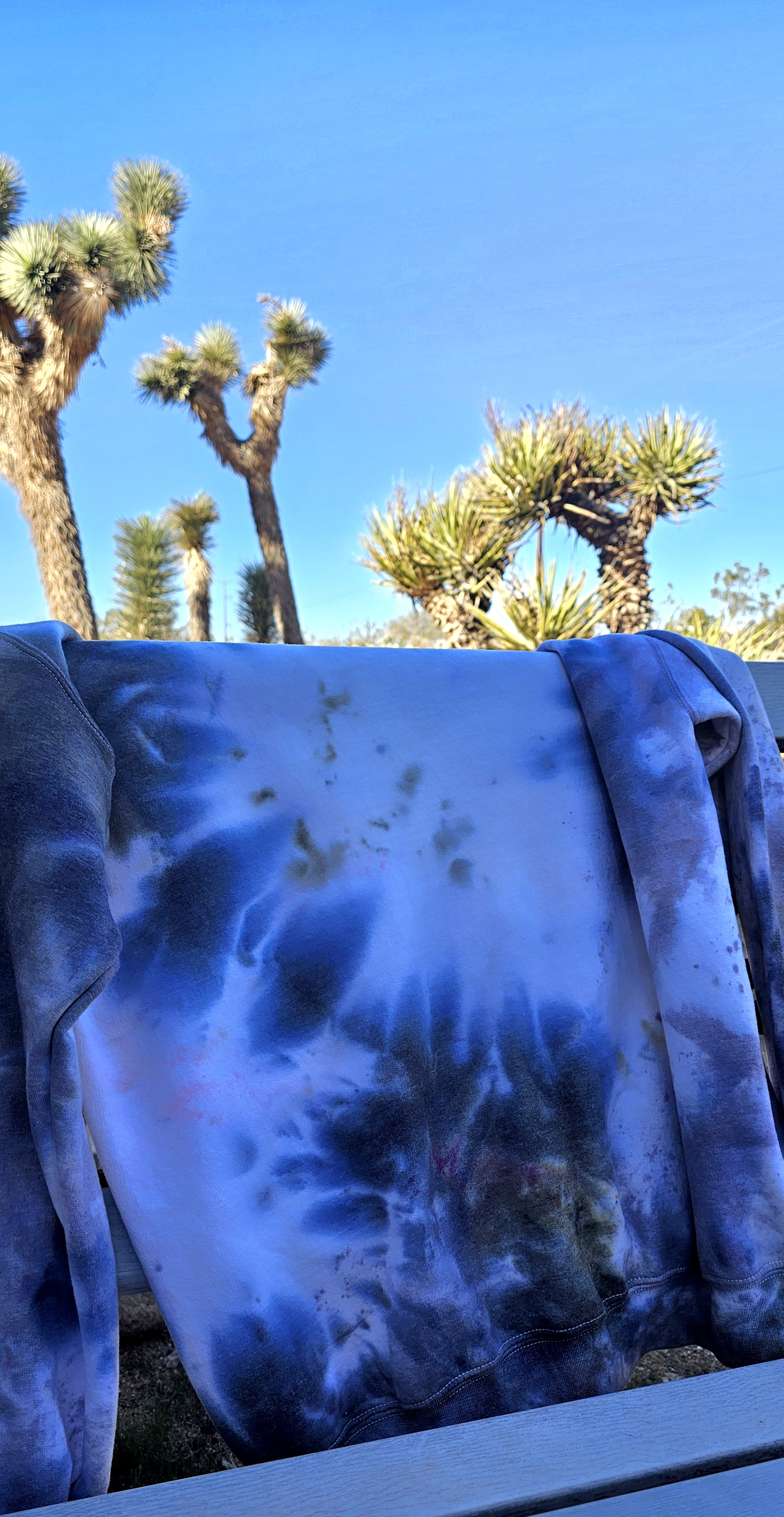 JOSHUA TREE AROUND TOWN SWEATSHIRT size LARGE  extra