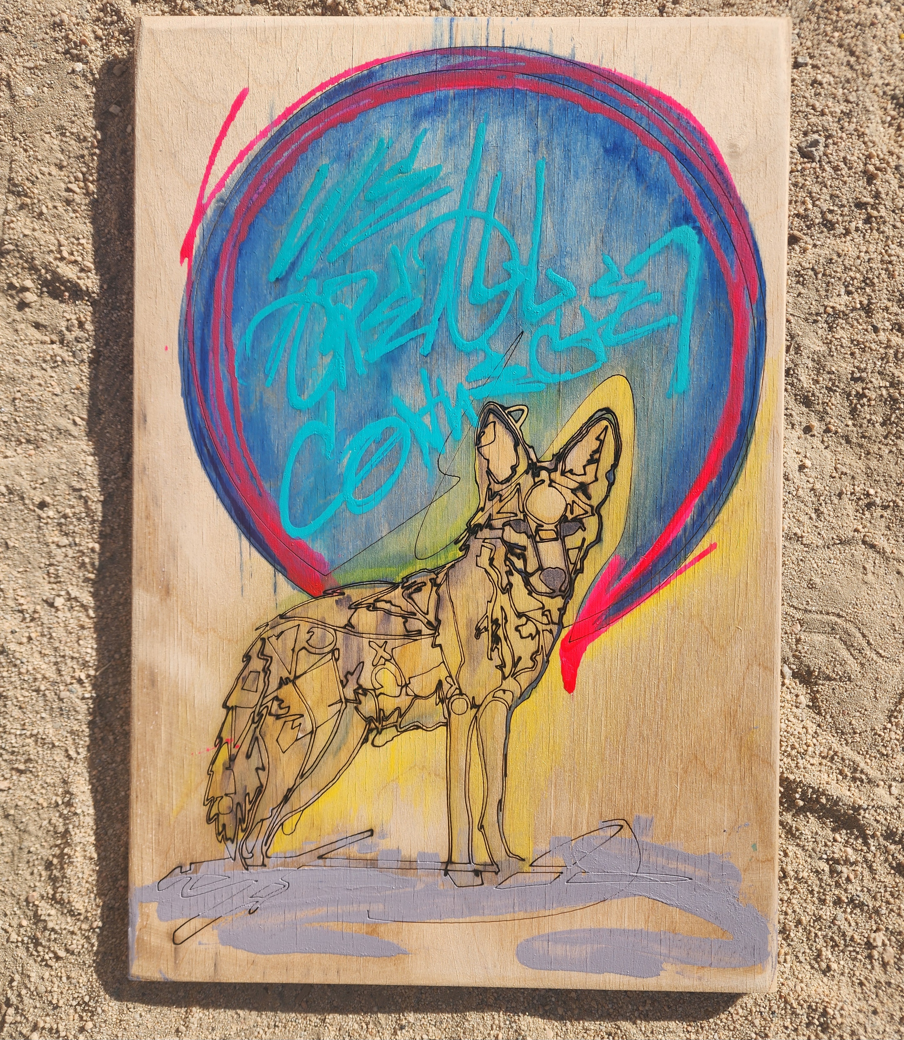 Coyote Electric nights 