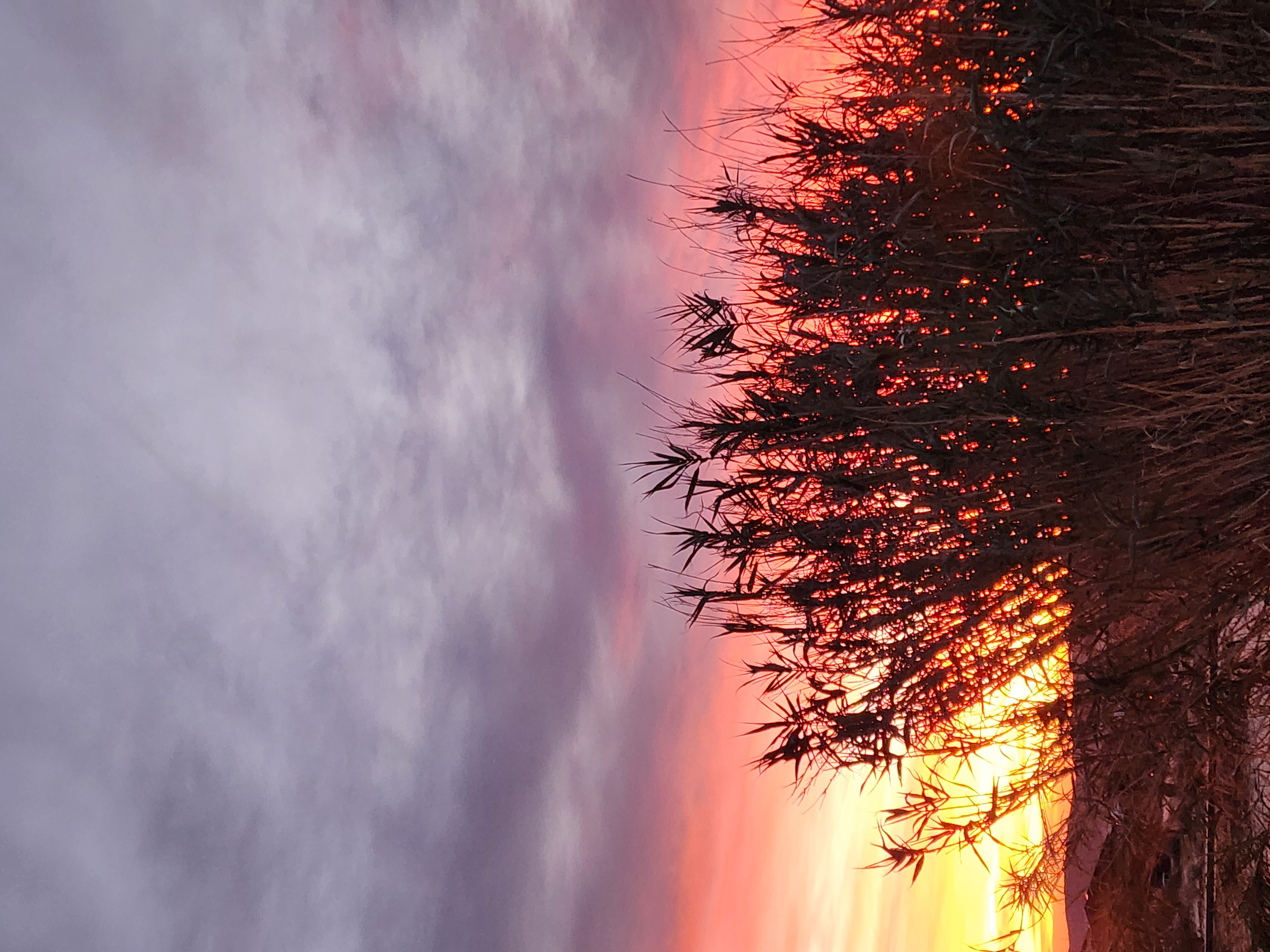 Downtown joshua tree